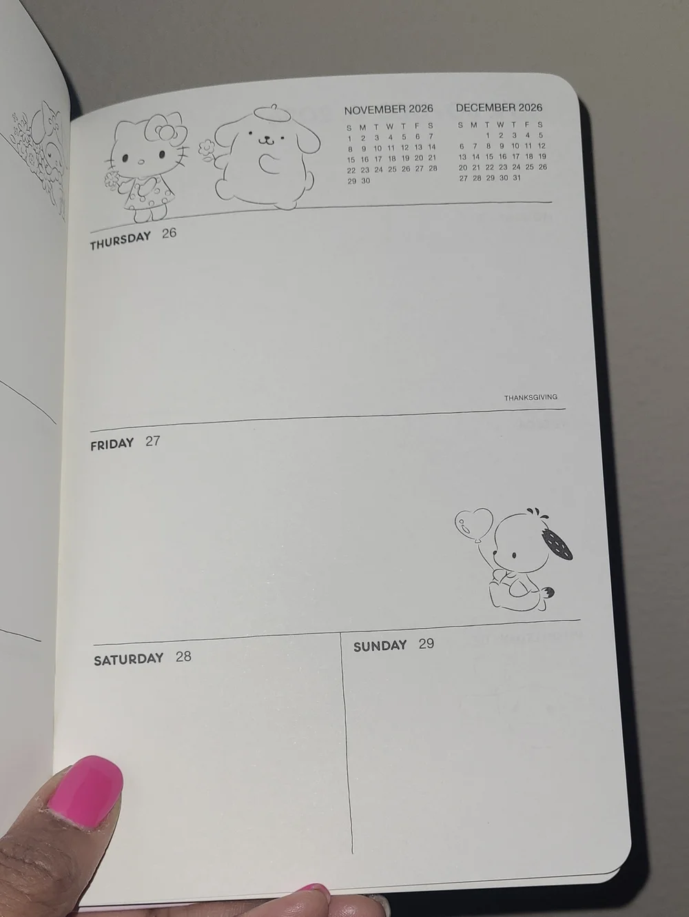 Sanrio 17 month
